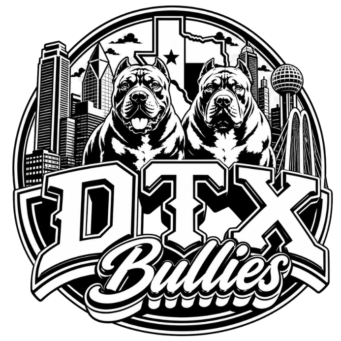 dtx bullies bnw logo transparent