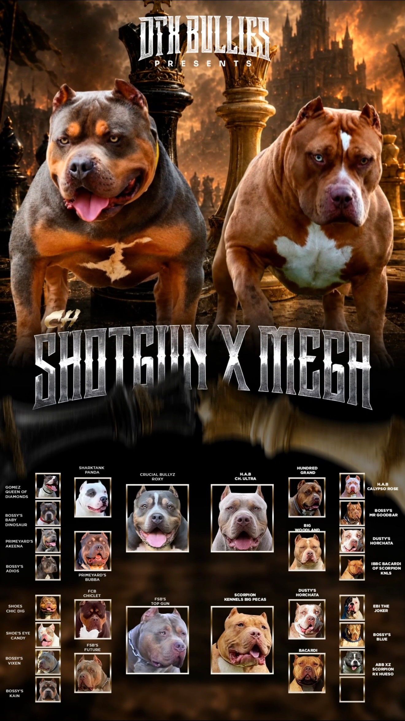 DTX Bullies Shotgun and Mega breeding announcement, including the complete pedigree for both parents